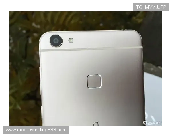 云顶集团官网下载手机版多平台兼容，支持安卓和苹果设备畅快体验多样游戏玩法