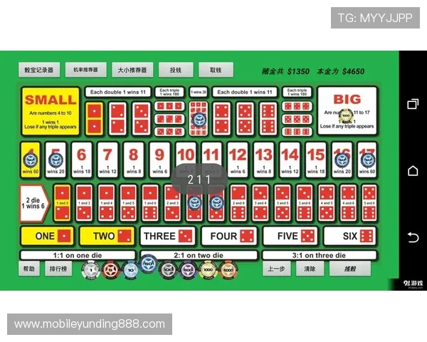 如何利用骰宝游戏的赔率优势，最大化你的盈利空间实现长期盈利目标