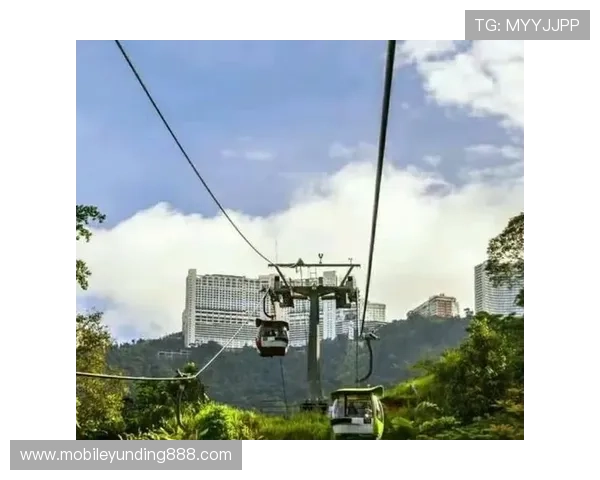 马来西亚云顶官网入口app常见问题解答，帮助玩家解决登录与使用中的困扰