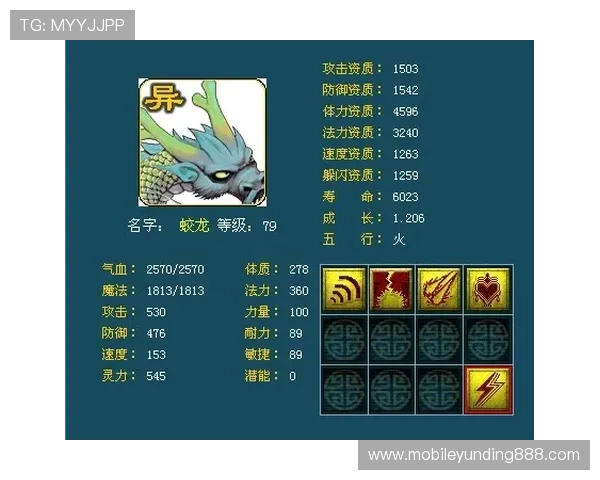 龙虎大战：从新手到高手的成长路径与实战技巧提升建议